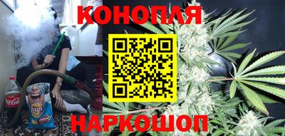 сатива Славгород