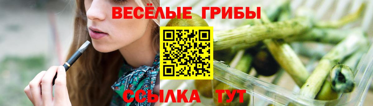 Можга  Галлюциногенные грибы GOLDEN TEACHER  Вход с VPN 
